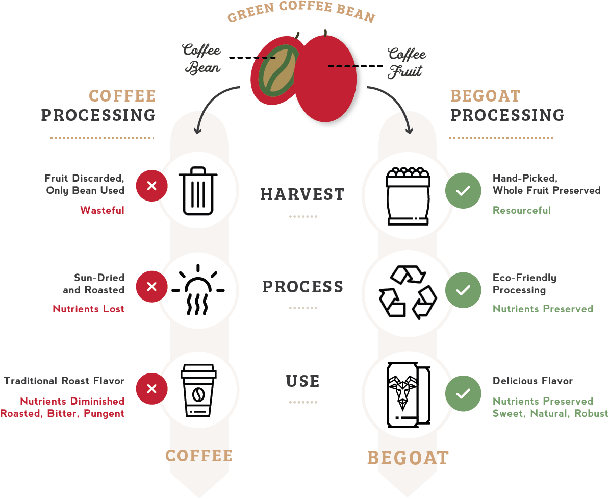 Chart illustrating eco-friendly BeGoat processing of coffee fruit