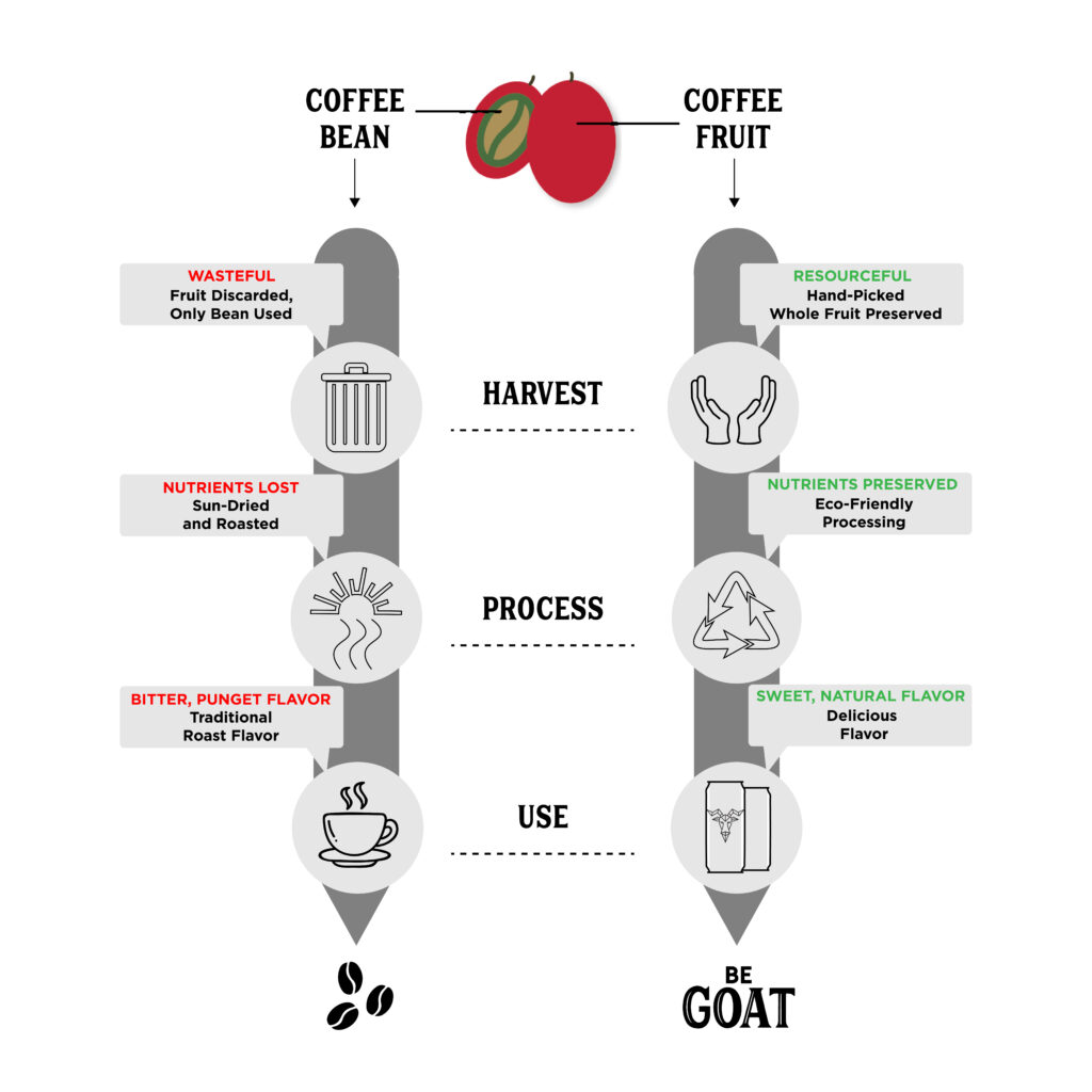 Cascara: The Up-And-Coming Superfood